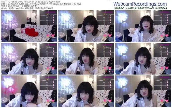 2025/01/03/mfc-silviajpn-13-32-07