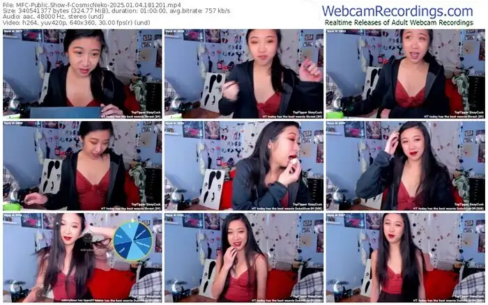 2025/01/04/mfc-cosmicneko-18-12-01