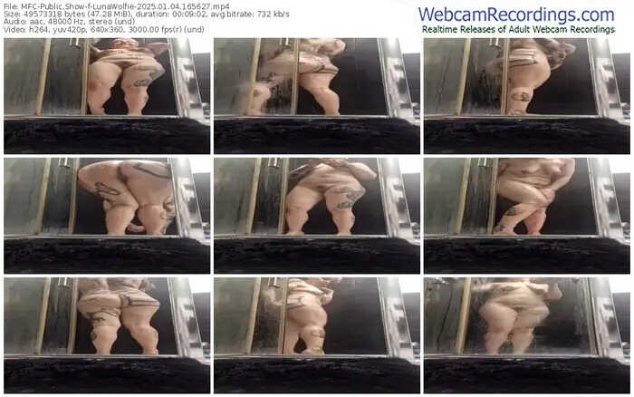 2025/01/04/mfc-lunawolfie-16-56-27