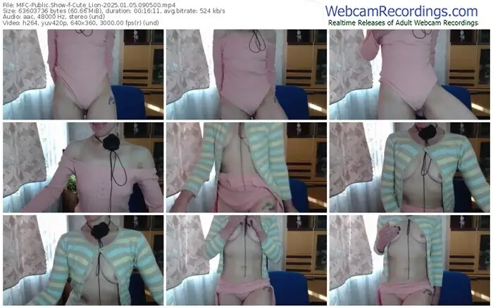 2025/01/05/mfc-cute_lion-09-05-00