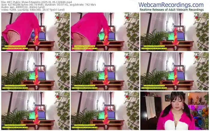 2025/01/05/mfc-neekito-13-28-49