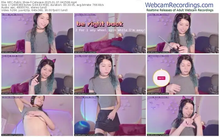 2025/01/07/mfc-catwave-04-25-38