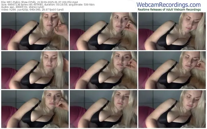 2025/01/07/mfc-polly_213109-00-13-52