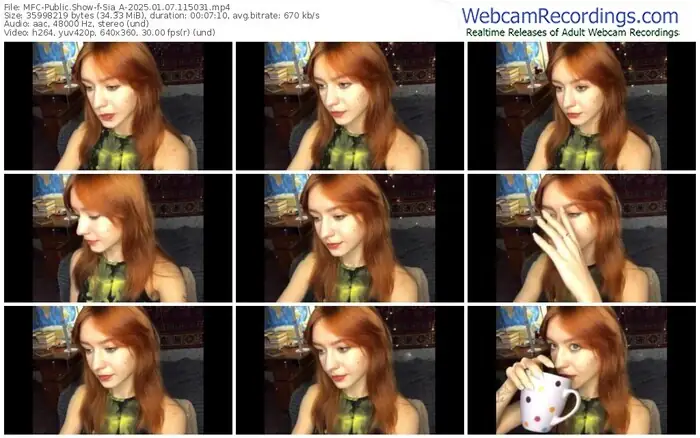 2025/01/07/mfc-sia_a-11-50-31