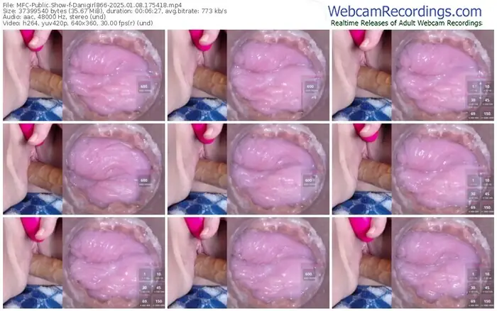 2025/01/08/mfc-danigirl866-17-54-18