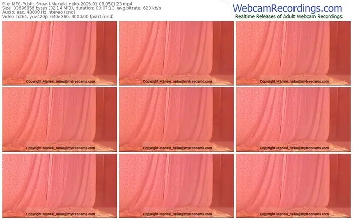 2025/01/08/mfc-maneki_neko-05-01-23