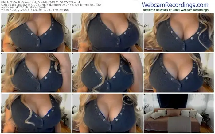 2025/01/08/mfc-eh1_scarlett-07-42-21