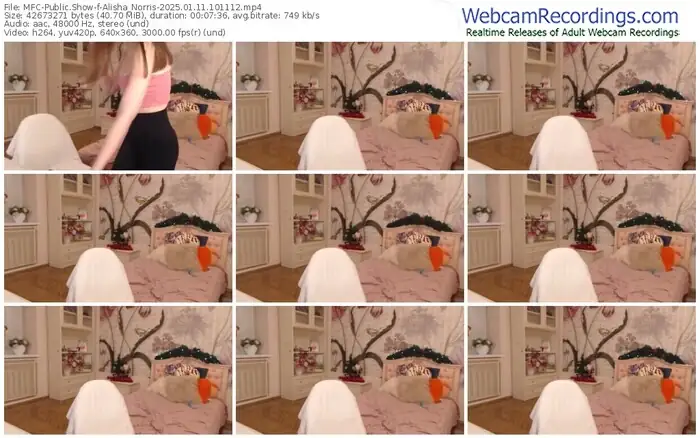 2025/01/11/mfc-alisha_norris-10-11-12