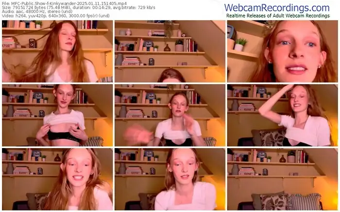 2025/01/11/mfc-kinkywander-15-14-05