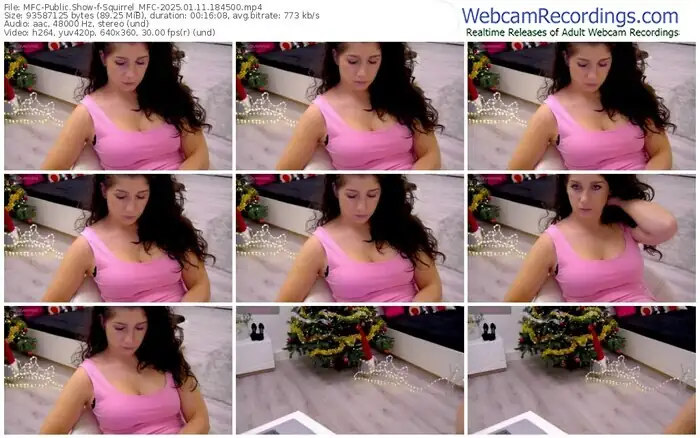 2025/01/11/mfc-squirrel_mfc-18-45-00