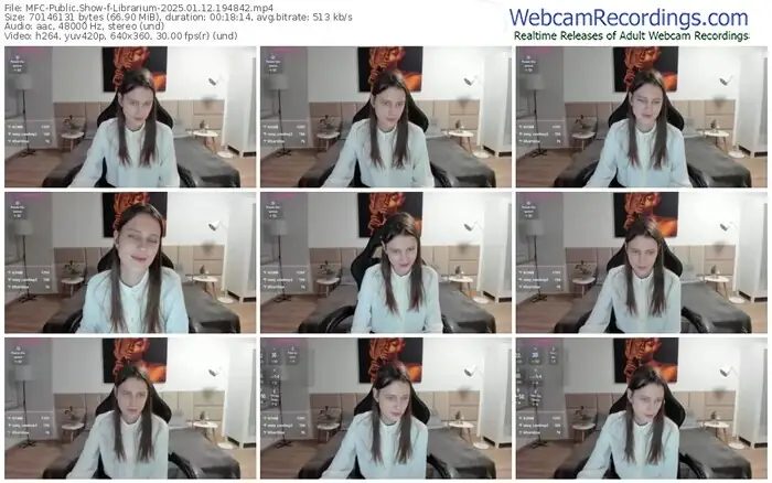 2025/01/12/mfc-librarium-19-48-42