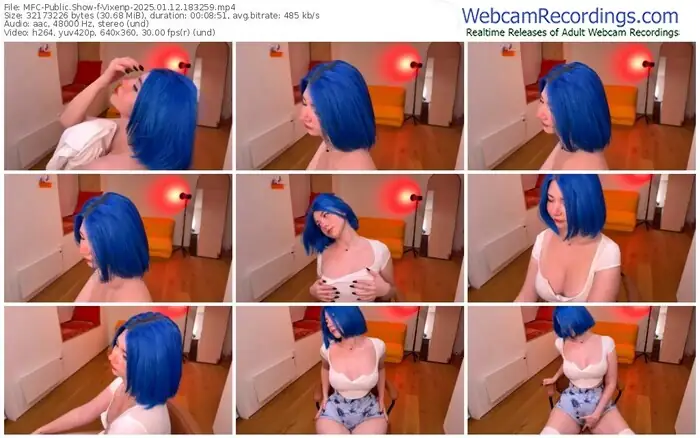 2025/01/12/mfc-vixenp-18-32-59