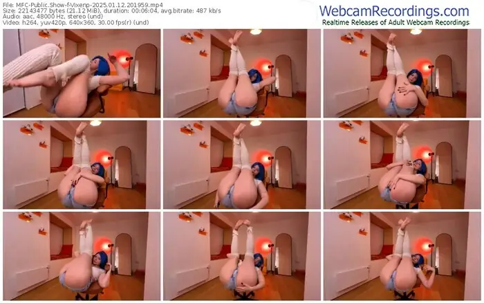 2025/01/12/mfc-vixenp-20-19-59