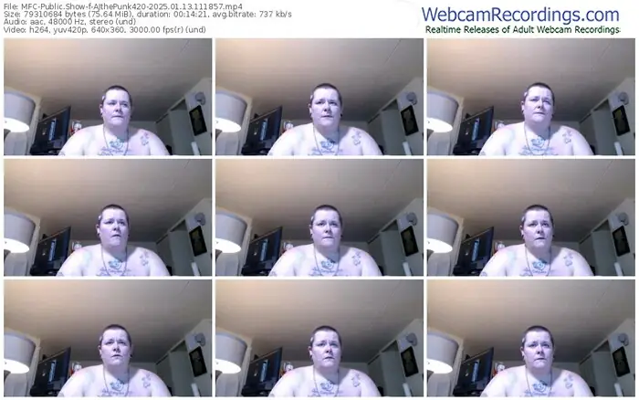 2025/01/13/mfc-ajthepunk420-11-18-57