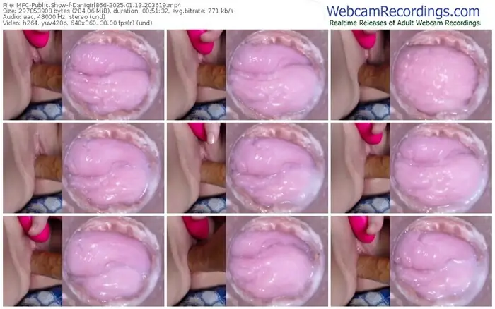 2025/01/13/mfc-danigirl866-20-36-19