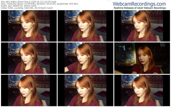 2025/01/13/mfc-sia_a-12-12-37