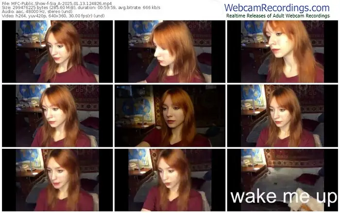 2025/01/13/mfc-sia_a-12-48-26