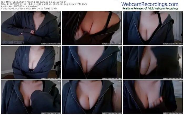 2025/01/13/mfc-meowgical-05-18-37