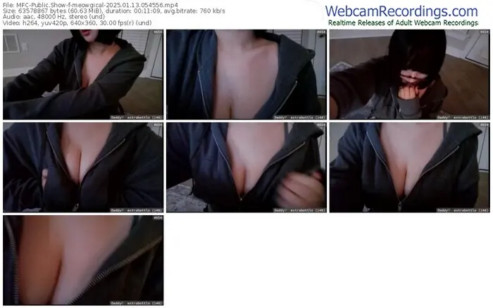 2025/01/13/mfc-meowgical-05-45-56