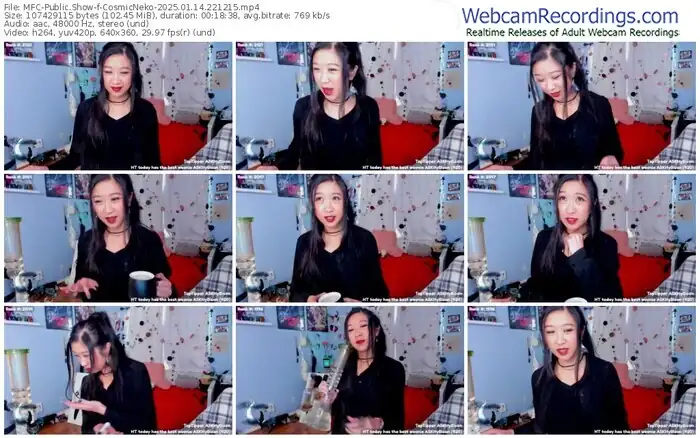 2025/01/14/mfc-cosmicneko-22-12-15