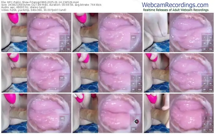 2025/01/14/mfc-danigirl866-23-45-29