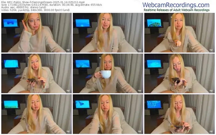 2025/01/14/mfc-flamingodream-02-52-12