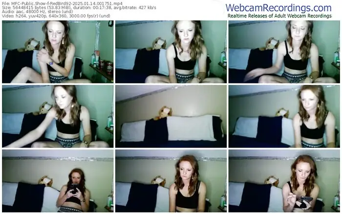 2025/01/14/mfc-redbird92-00-17-51