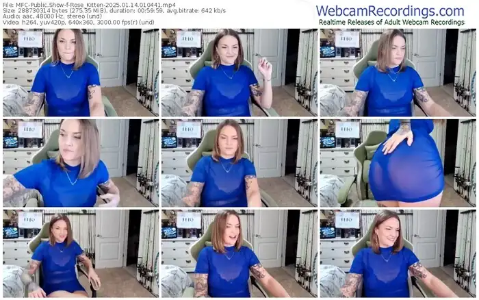 2025/01/14/mfc-rose_kitten-01-04-41