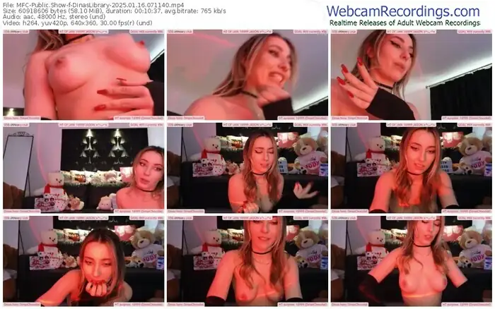 2025/01/16/mfc-dinaslibrary-07-11-40