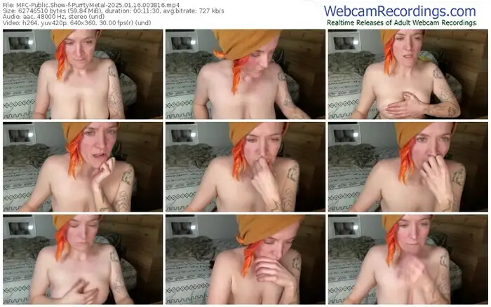 2025/01/16/mfc-purrtymetal-00-38-16