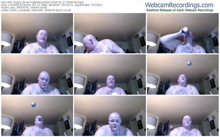 2025/01/17/mfc-ajthepunk420-06-41-04