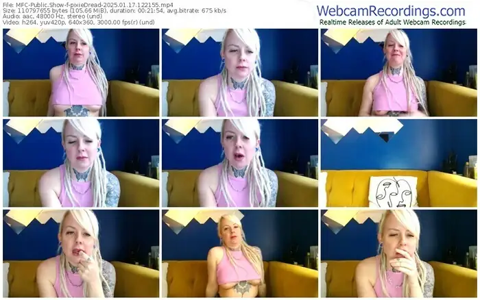 2025/01/17/mfc-pixiedread-12-21-55