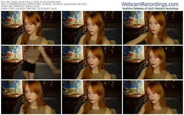 2025/01/18/mfc-sia_a-10-26-03