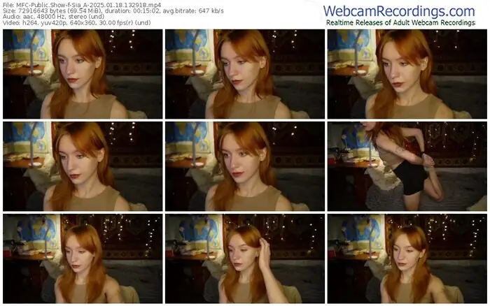 2025/01/18/mfc-sia_a-13-29-18