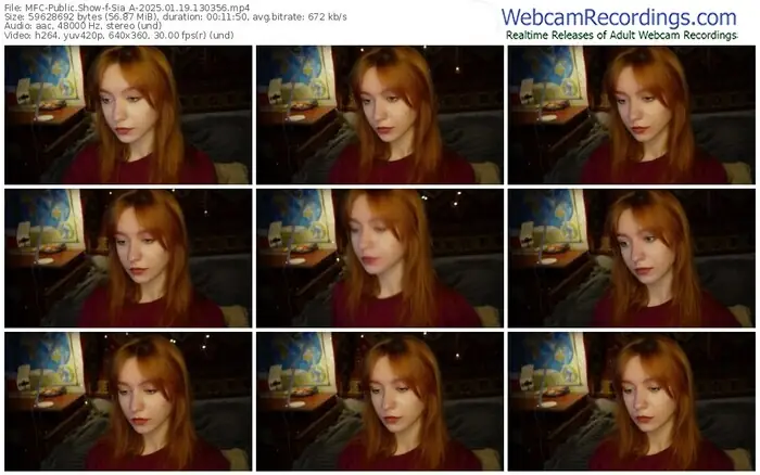 2025/01/19/mfc-sia_a-13-03-56