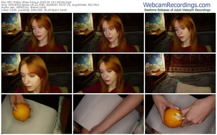 2025/01/19/mfc-sia_a-13-32-42