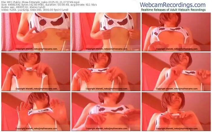 2025/01/21/mfc-maneki_neko-07-37-49