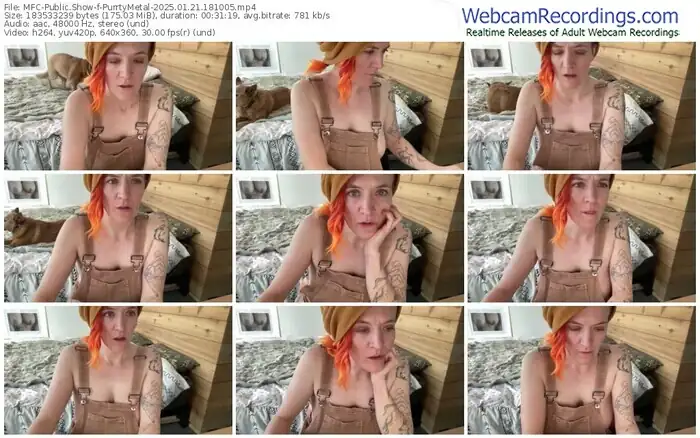 2025/01/21/mfc-purrtymetal-18-10-05