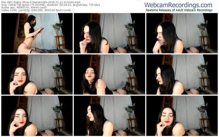 2025/01/21/mfc-stellavixen-01-53-40