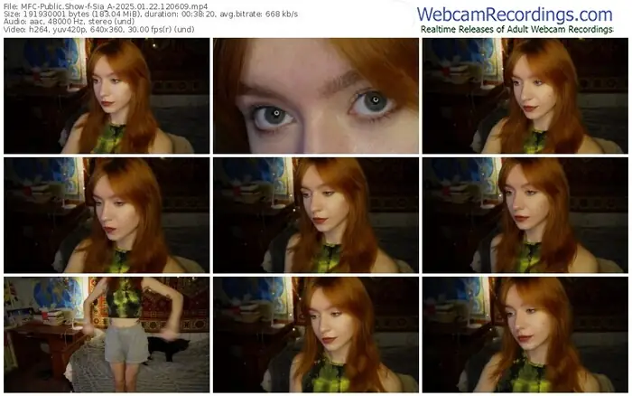 2025/01/22/mfc-sia_a-12-06-09