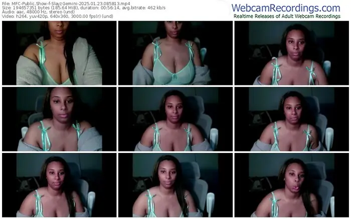 2025/01/23/mfc-slayzgemini-08-58-13