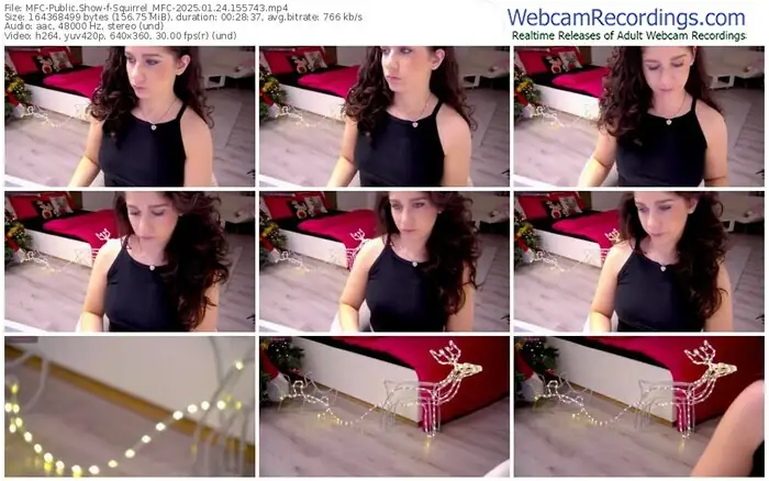 2025/01/24/mfc-squirrel_mfc-15-57-43