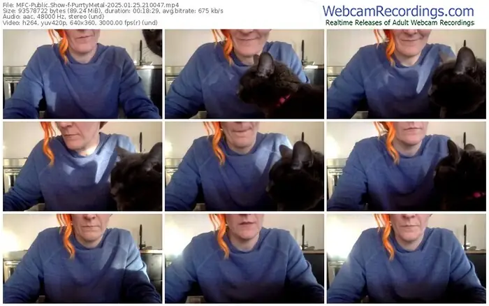 2025/01/25/mfc-purrtymetal-21-00-47