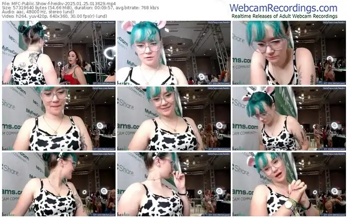 2025/01/25/mfc-heidiv-01-36-29