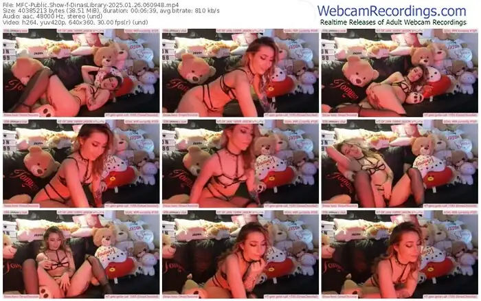 2025/01/26/mfc-dinaslibrary-06-09-48