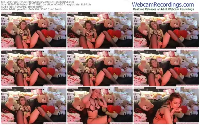 2025/01/26/mfc-dinaslibrary-07-04-54
