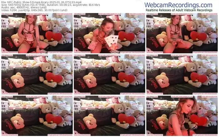 2025/01/26/mfc-dinaslibrary-07-51-33