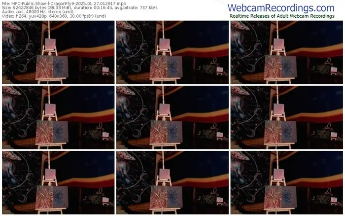 2025/01/27/mfc-dragonfly9-01-29-17