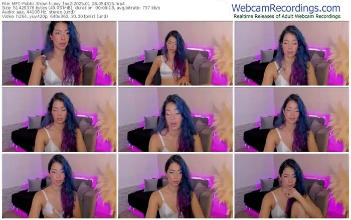 2025/01/28/mfc-lexy_fox2-05-43-15
