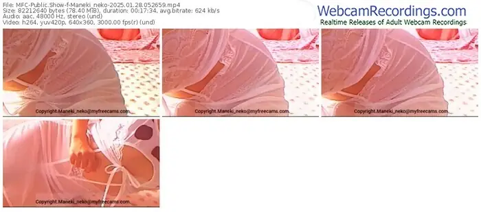 2025/01/28/mfc-maneki_neko-05-26-59